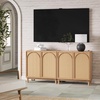 image:imageNathan James Jacala Mid Century Modern Entryway Storage Cabinet with Doors Living Room Accent Cabinet with Wood Frame Black OakLight Brown