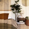 image:imageNathan James Jackson Wall Mounted Rattan Floating Bedroom Nightstand with Storage Drawer and Modern Open Shelf Cubby Light OakRattanBrown Walnut