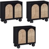 image:imageNathan James Leah Boho TV Stand or Sideboard Cabinet for Kitchen or Living Room with BallStyle Feet Natural Seagrass Door Fronts and Solid Wood Legs Raw Oak Set of 2Blackseagrass