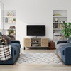 image:imageNathan James Mina Modern TV Stand Entertainment Cabinet Media Console with a Natural Rattan Storage Doors White Finish and Gold Brass Accents for Living Room or Media Room WhiteGoldOakBlack