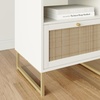 image:imageNathan James Mina Rattan Wood End Side Accent Table Nightstand with Storage for Living Room or Bedroom 1 Black OakBlackWhiteGold