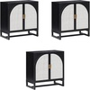 image:imageNathan James Paxton MidCentury Modern Wood Storage Cabinet with Doors Arched Storage Cabinet for Living Room or Kitchen with Rattan Door Details Raw OakBlack OakPale Rattan